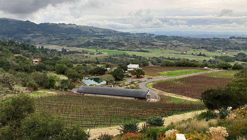 Coursey-Graves Winery