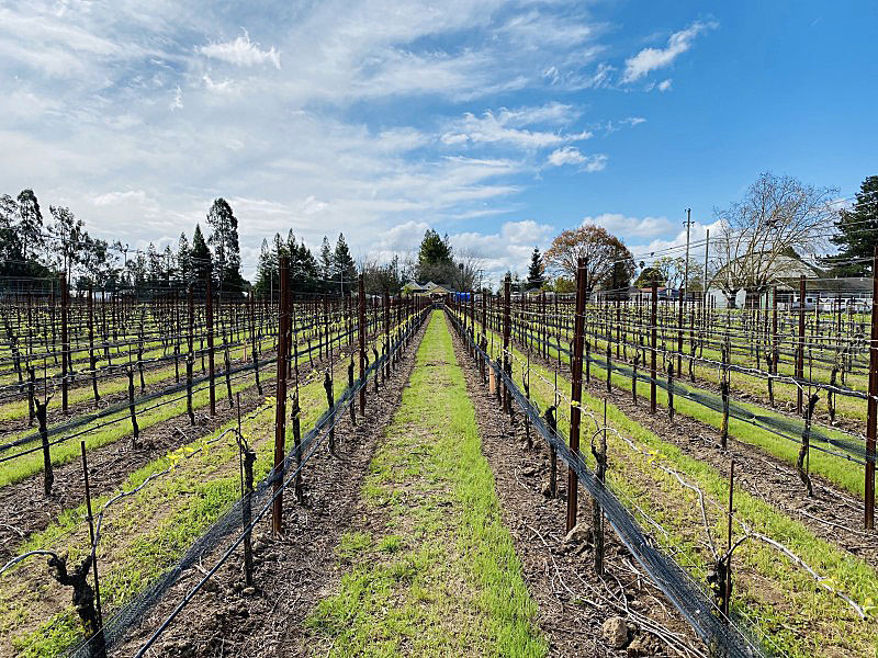 Hawks Roost Ranch