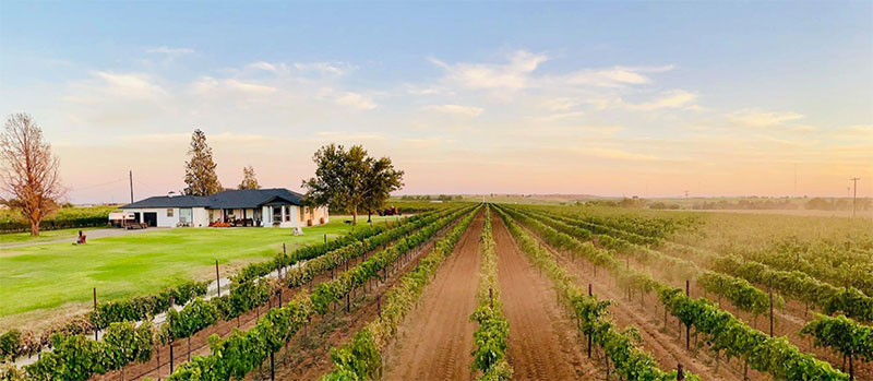 Farmhouse Vineyards