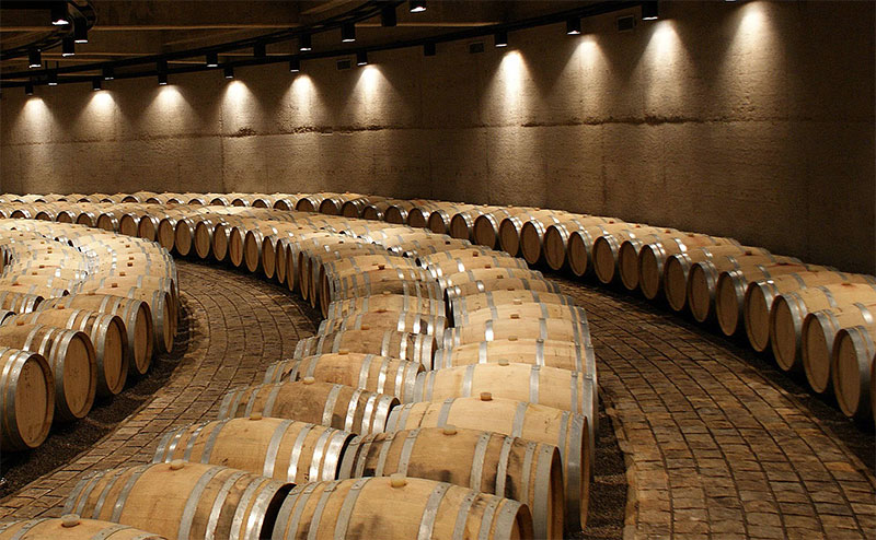 Photo: Hansrudolf Bernet