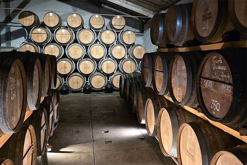 The barrel room. Photo: Terje Gaarden.