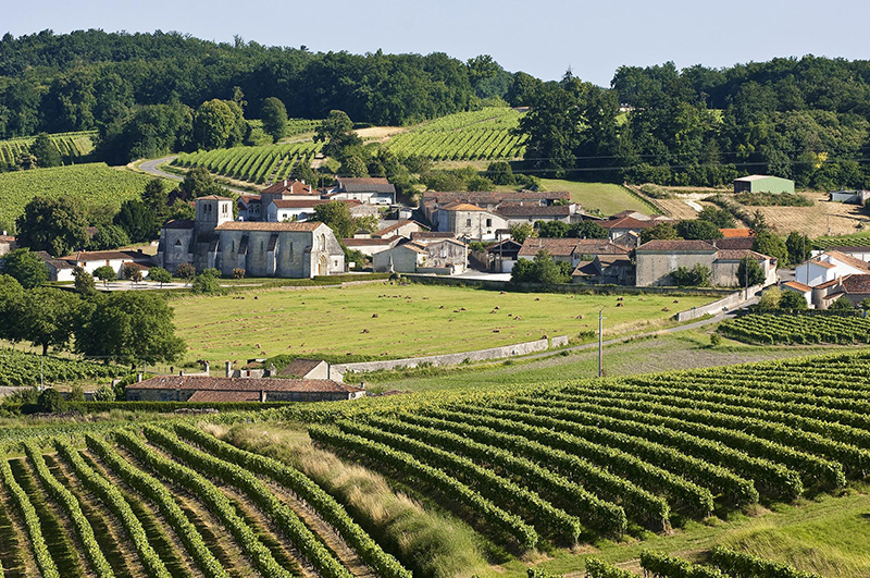 The Pasquinet estate.