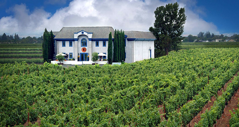 Photo of the Lewis winery and vineyard.
