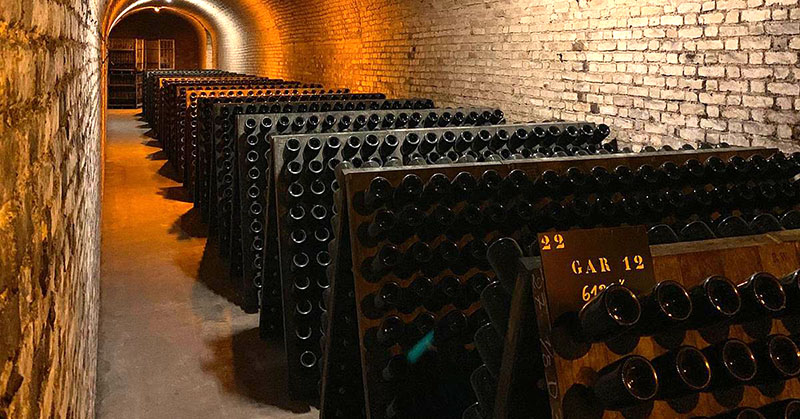 the cellar