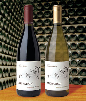 Migration Wines